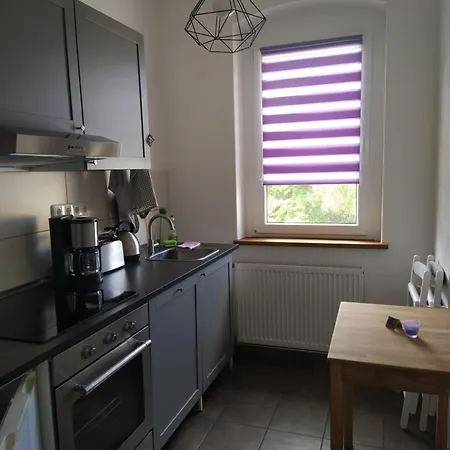 Am Safrangarten Apartamento Altemburgo