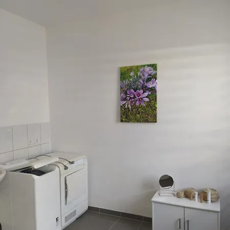 아파트 Am Safrangarten *